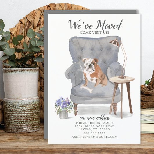 英国ブルドッグ犬 |お知らせ 案内状