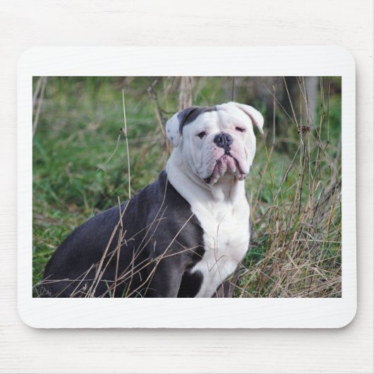英国ブルドッグ マウスパッド (正面)