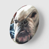 英国ブルドッグ ラウンド壁時計 (傾斜)