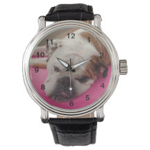 英国ブルドッグ