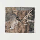 英国ロンドンのリッチモンド公園のキングズディアー タペストリー (正面(横))