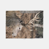 英国ロンドンのリッチモンド公園のキングズディアー フリースブランケット (正面(横))