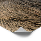 英国ロンドンのリッチモンド公園のキングズディアー ポスター (角)