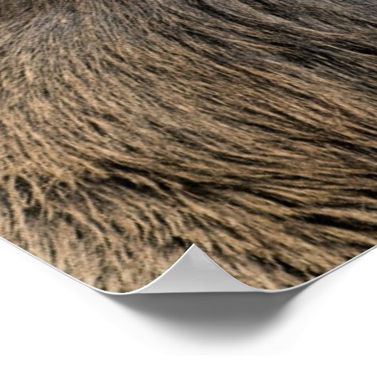 英国ロンドンのリッチモンド公園のキングズディアー ポスター (角)