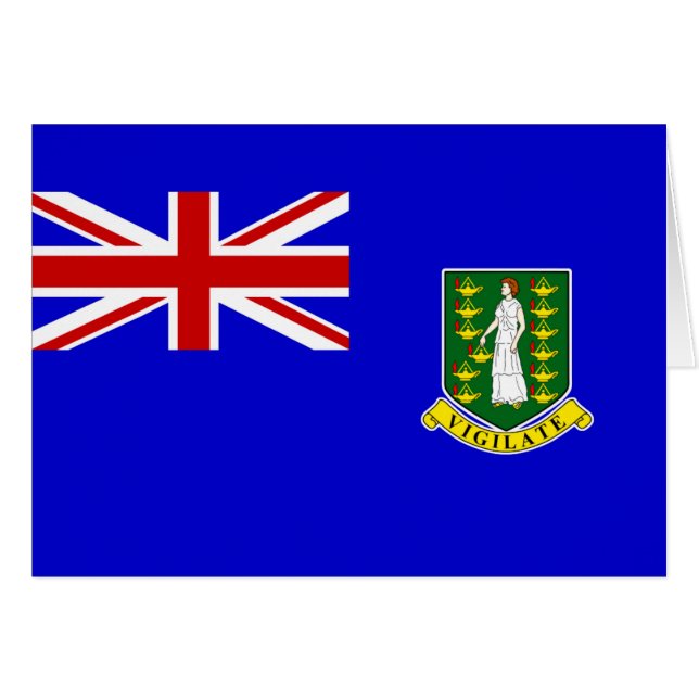 英国ヴァージン諸島国旗 (正面横)