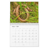英国野生動物暦 カレンダー (3月 2027)