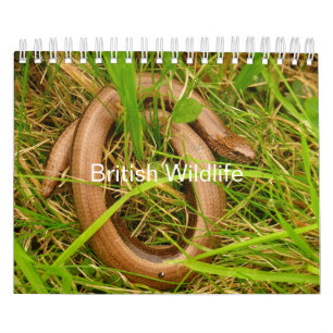 英国野生動物暦 カレンダー