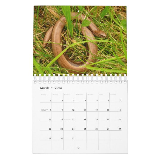 英国野生動物暦 カレンダー (3月 2026)