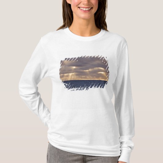 英国領サウスジョージア島、スコシア海 Tシャツ (正面)