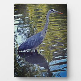 英国食べ物を与えのRHS WisleyにあるHeron's in the Pond フォトプラーク