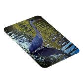 英国食べ物を与えのRHS WisleyにあるHeron's in the Pond マグネット (右側)