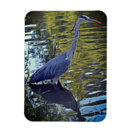 英国食べ物を与えのRHS WisleyにあるHeron's in the Pond マグネット