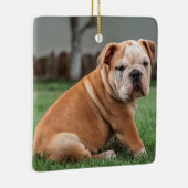 英国魅力的のブルドッグパピー セラミックオーナメント (右)