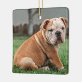 英国魅力的のブルドッグパピー セラミックオーナメント (左)