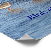 英国鳥の諺 ポスター (角)