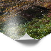 英国。ディーンの森。サンビームがAを貫通する フォトプリント            (角)