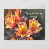 英国 RHS ウィズリー庭園のペルビアンユリ ポストカード (正面)