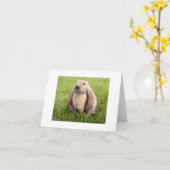 英国LOPのウサギのメッセージカード カード (黄色い花)