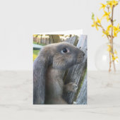 英国LOPのウサギのメッセージカード カード (黄色い花)