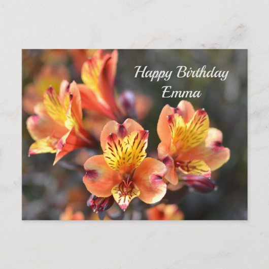 英国RHS Wisley庭園のペルー産ユリの花 ポストカード (正面)