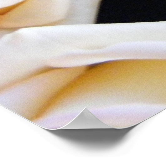 英文ボックス ポスター (角)