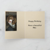 英語のスプリンガースパニエル犬の誕生日カード カード (内部)