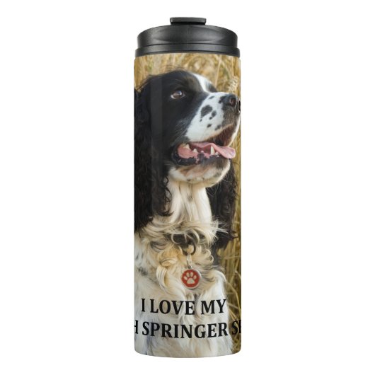 英語のスプリンガースパニエル犬bwlovw pic タンブラー (正面)
