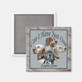 英語のセッターは磁石を一つだけ持つことができない マグネット (正面/裏面)