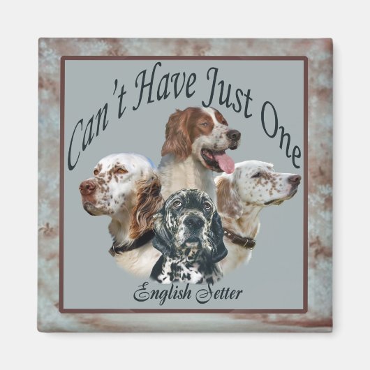 英語のセッターは磁石を一つだけ持つことができない マグネット (正面)