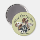 英語のセッターは磁石を一つだけ持つことができない マグネット (正面/裏面)