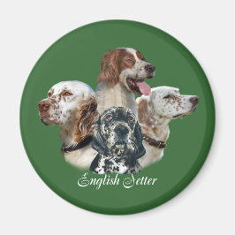 英語のセッターは1つの磁石しか持つことができない マグネット