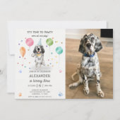 英語のセッターパウィティ犬の子犬の誕生日青い写真 招待状 (正面)