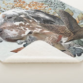 英語のセッター， Woodcock狩り, Art シェルパブランケット (3/4)