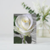 英語のバラカード ポストカード (スタンド正面)