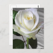 英語のバラカード ポストカード (正面/裏面)