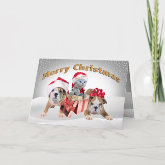 英語のブルドッグと子猫のクリスマスカード シーズンカード