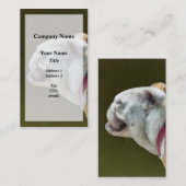 英語のブルドッグのプロフィール 名刺 (正面/裏面)