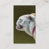 英語のブルドッグのプロフィール 名刺 (裏面)