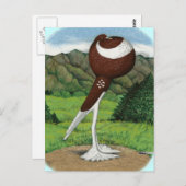 英語の外側：赤（山あり） ポストカード (正面/裏面)