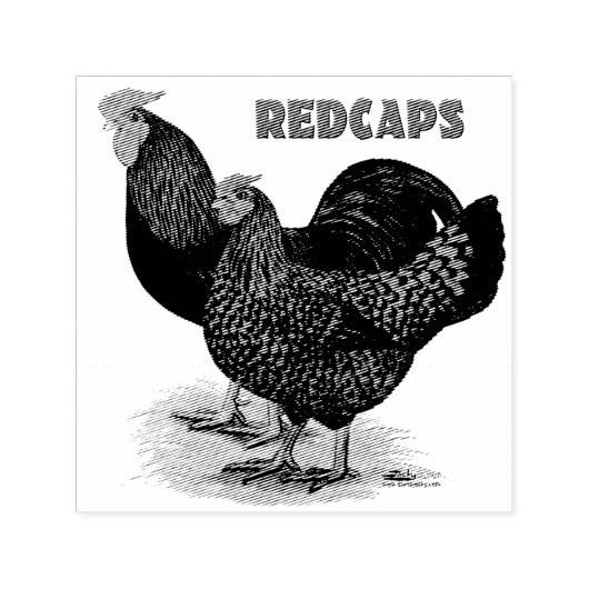 英語のRedcaps セルフインキングスタンプ (デザイン)