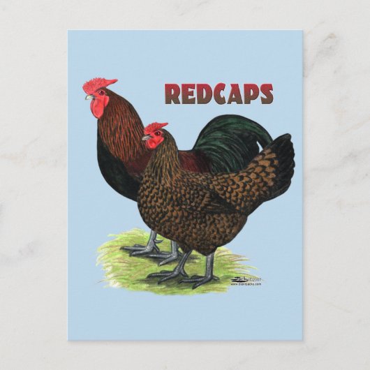 英語のRedcaps ポストカード (正面)