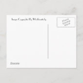 英語は招待状郵便はがきカスタマイズ上がりました インビテーションポストカード (裏面)