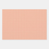 英語エレガントの粗末なシックなフローラアートパターン ラッピングペーパーシート (正面2)