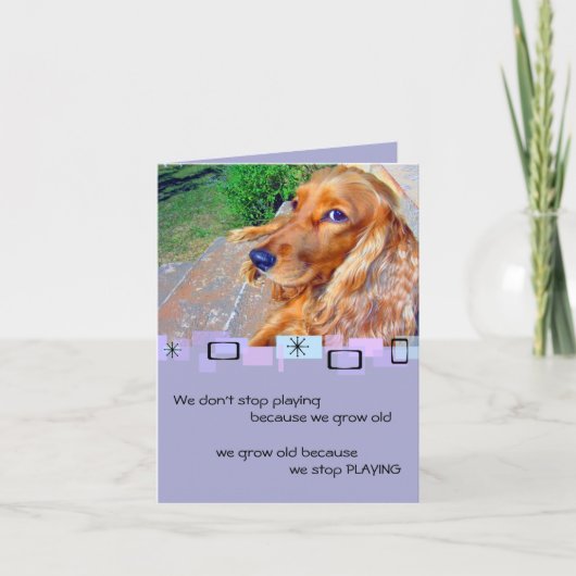 英語コッカースパニエル犬誕生日グリーティングカード カード (正面)