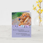 英語コッカースパニエル犬誕生日グリーティングカード カード (黄色い花)