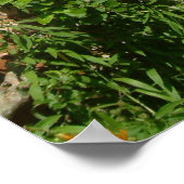 英語コテージI ポスター (角)