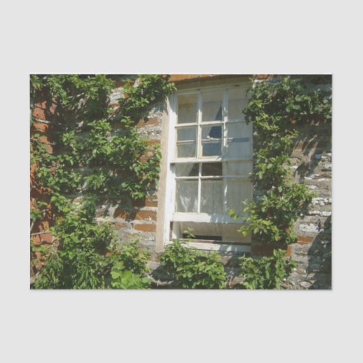 英語コテージI 魅力的 薄葉紙 (正面)