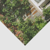 英語コテージI 魅力的 薄葉紙 (詳細)