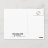 英語スプリンガースパニエル犬ドッグアートはがき ポストカード (裏面)