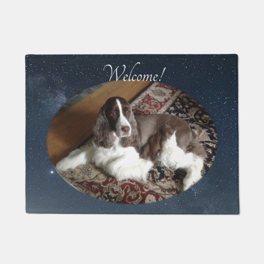英語スプリンガースパニエル犬DoorMat ドアマット (正面)